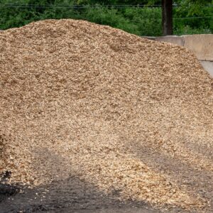 Large mound of wood chips piled outdoors with green trees in the background