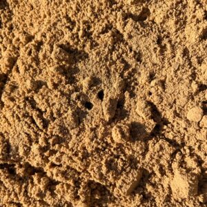 Close-up of beige sand with small clumps and tiny holes scattered across the surface.