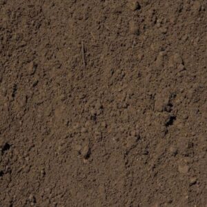 Close-up of brown soil with a small twig lying on the surface.
